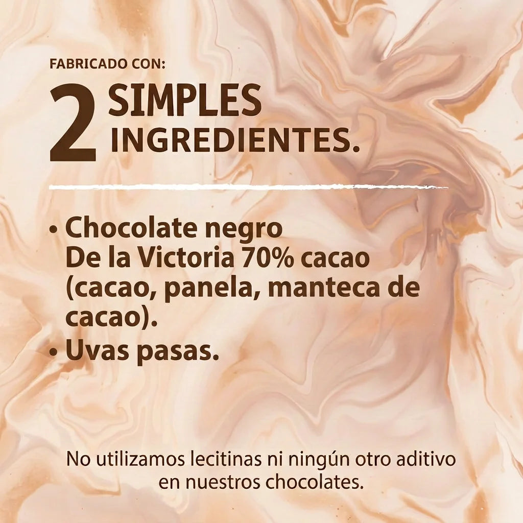 Grageas de uva pasa con chocolate 72% cacao (60g) | Un clásico bien hecho