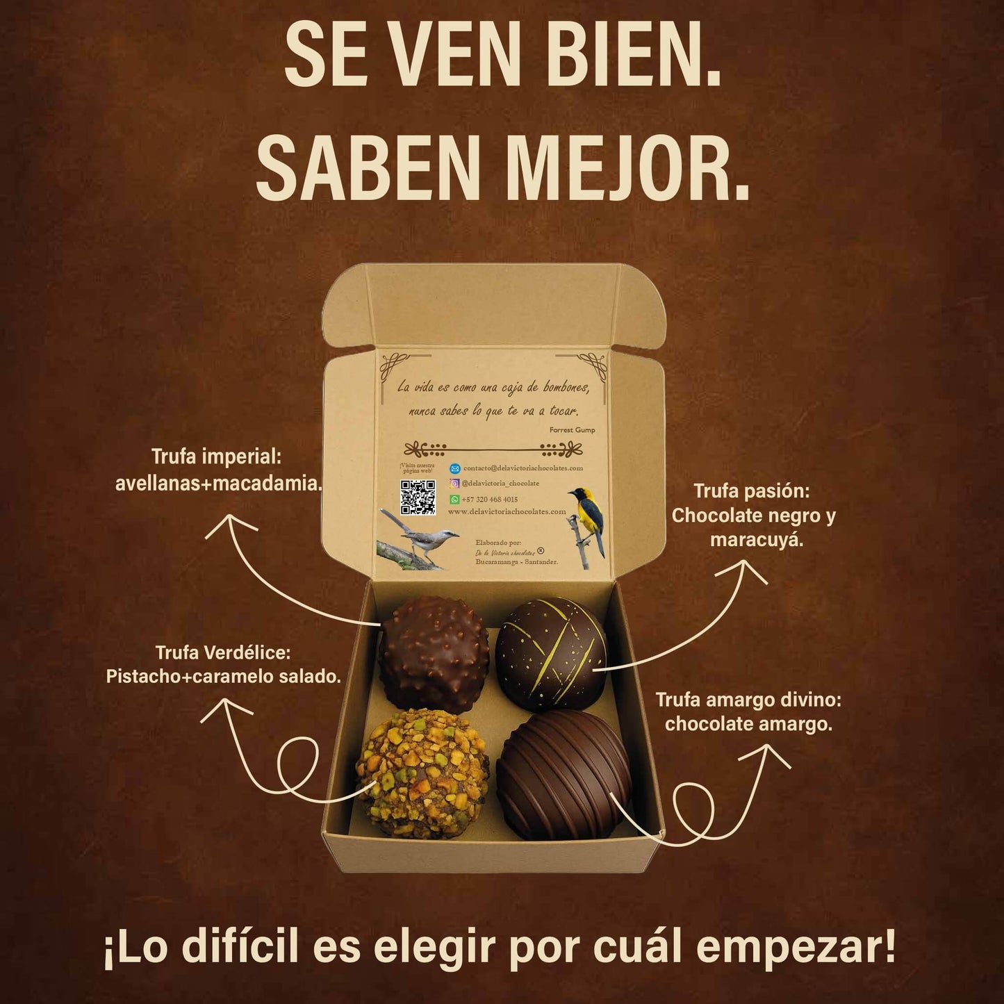 Trufas de chocolate premium | Caja de 4 unidades